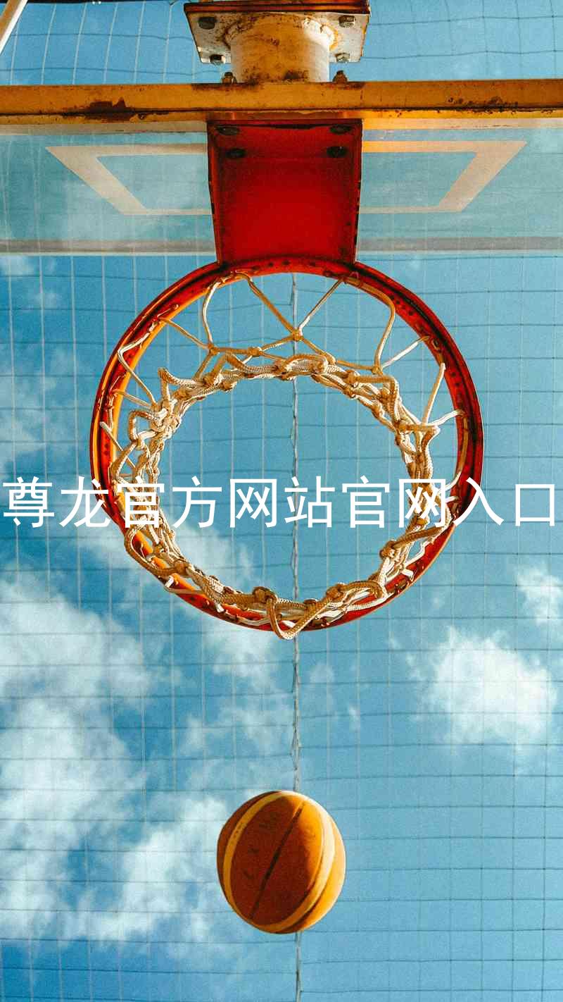 尊龙官方网站官网入口