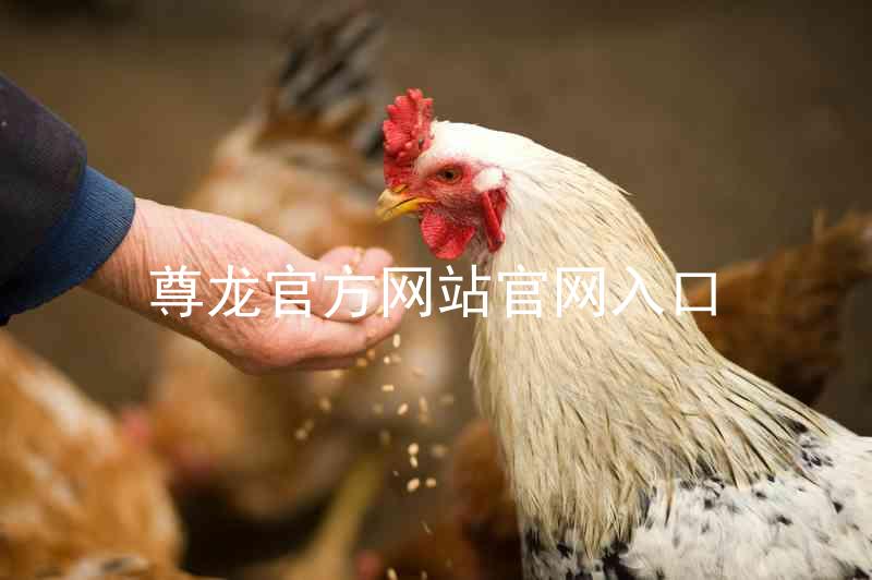 尊龙官方网站官网入口