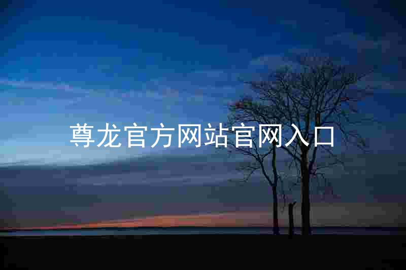 尊龙官方网站官网入口