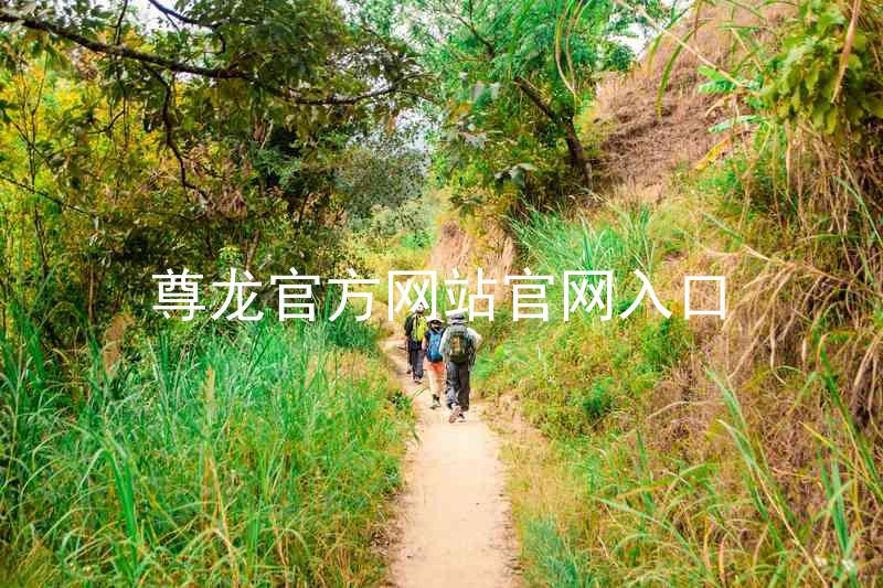 尊龙官方网站官网入口