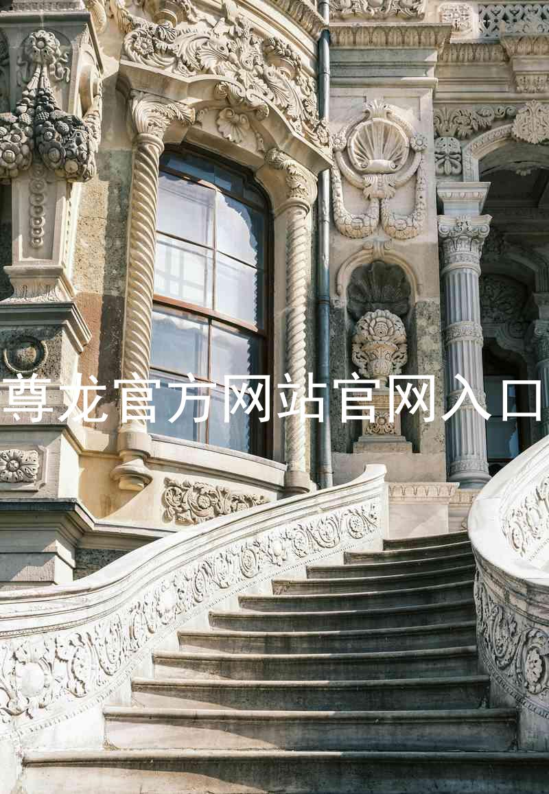 尊龙官方网站官网入口