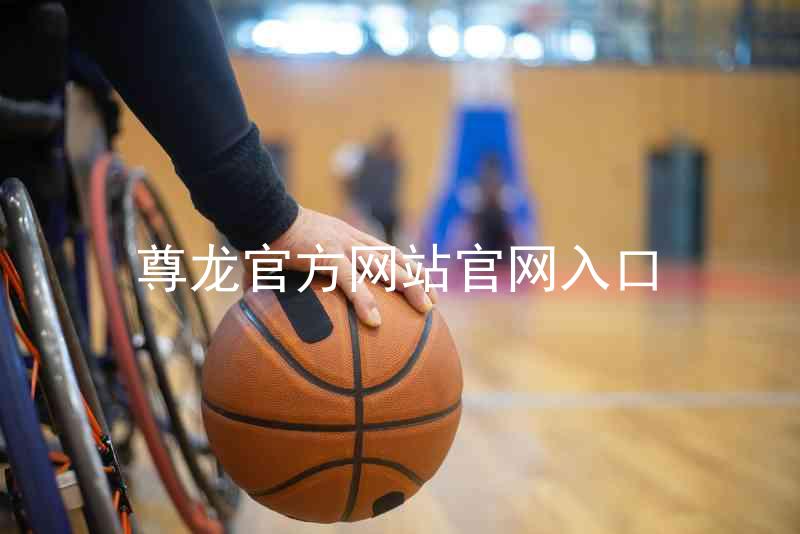 尊龙官方网站官网入口