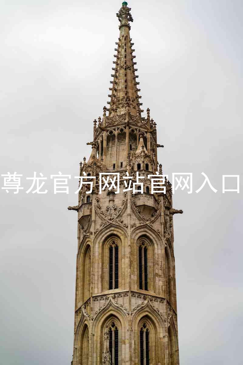 尊龙官方网站官网入口